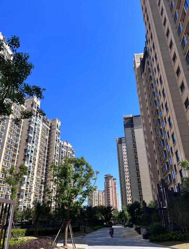 上海楼市调整 房价人心变化 选筹区域规划潜力接盘人群_引发楼市 踩踏 行情 昨日沪新房卖掉1267套_上海买房刚需成交量火热低总价房源政策刺激上车