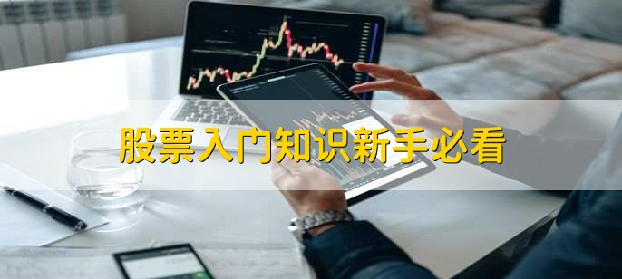 学看股票基本面_股票基础知识和常识_学看K线