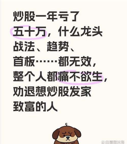 散户股市亏损经历_股票基础知识入门视频_股市不是提款机