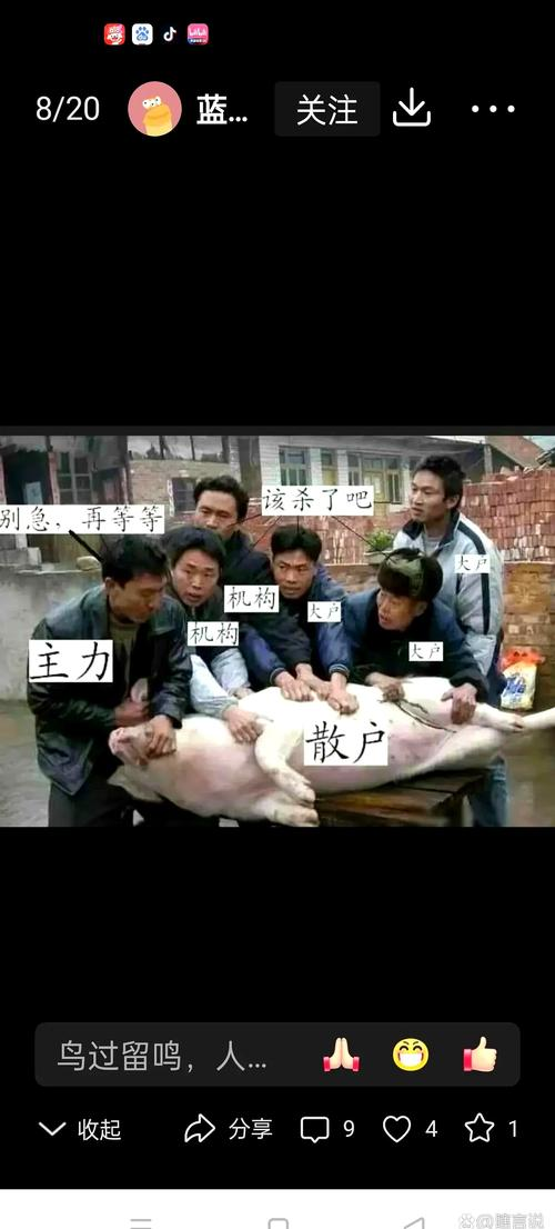 散户股市亏损经历_股票基础知识入门视频_股市不是提款机
