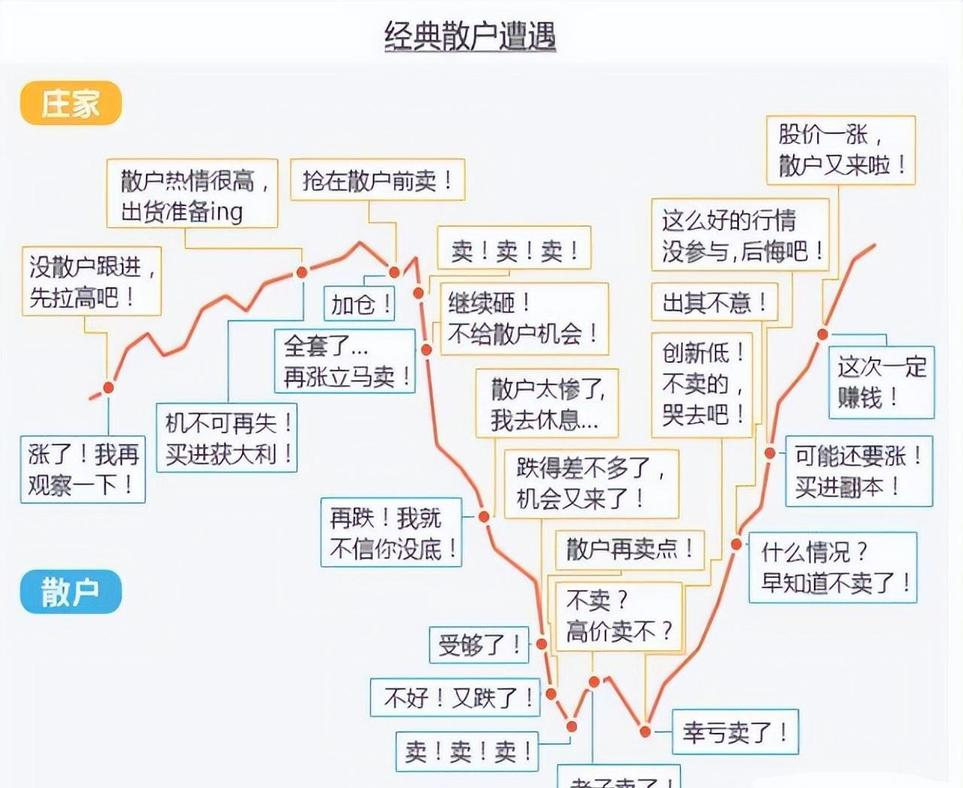 不同资金量散户盈利情况_A股散户盈利比例_股票基础知识入门视频