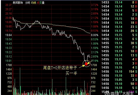 T+0操作技巧_半仓一只股正反做波段_炒股技巧400招