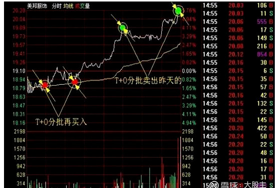 半仓一只股正反做波段_T+0操作技巧_炒股技巧400招