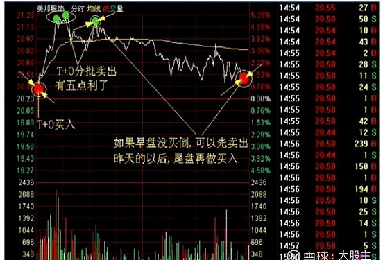 炒股技巧400招_T+0操作技巧_半仓一只股正反做波段
