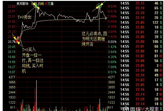 半仓一只股正反做波段_T+0操作技巧_炒股技巧400招