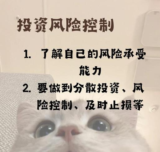 掌握投资技巧_风险控制策略_股票型基金技巧