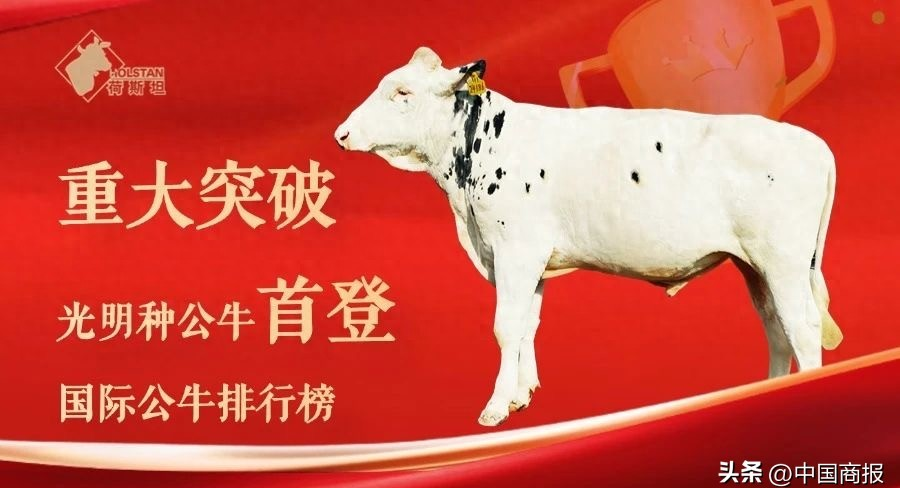 光明乳业新浪财经_光明乳业2025年业绩报告_光明乳业种源技术突破