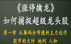 集合竞价涨停板策略_盘口分时博弈战法_股票技巧 视频