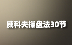 股票技巧 视频_集合竞价涨停板策略_盘口分时博弈战法
