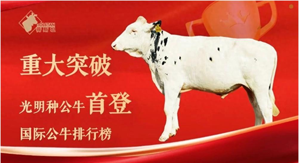 光明乳业新浪财经_光明乳业种源技术突破_光明乳业2025年半年度业绩报告