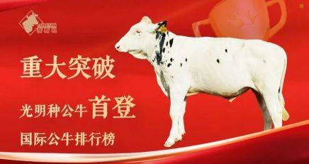 光明乳业新浪财经_光明乳业2025年半年度业绩报告_光明乳业种源技术突破