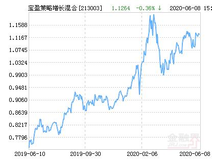 宝盈策略增长混合 容志能 基金持仓_宝盈策略增长股票