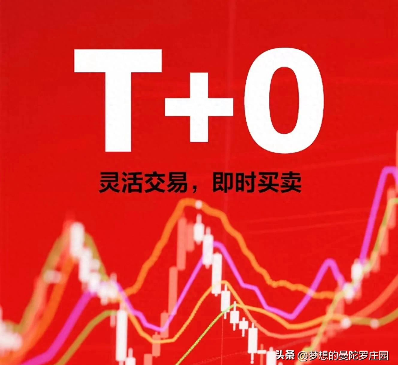 港股通交易规则t 0_散户投资困境分析_A股T+0交易规则