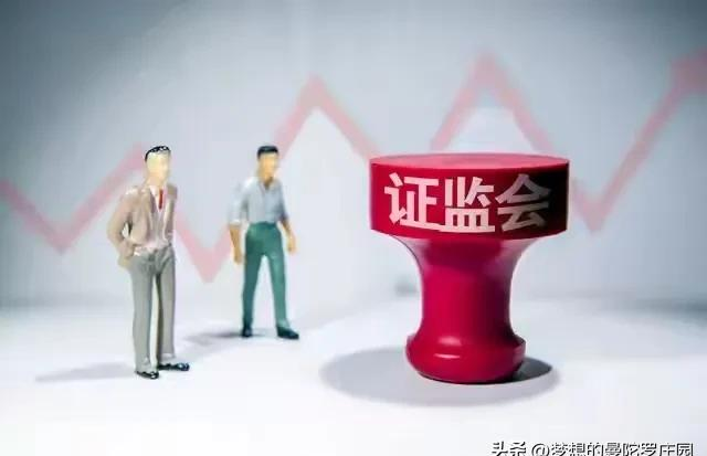 散户投资困境分析_港股通交易规则t 0_A股T+0交易规则