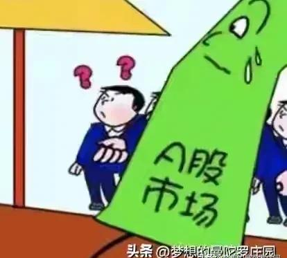 A股T+0交易规则_散户投资困境分析_港股通交易规则t 0