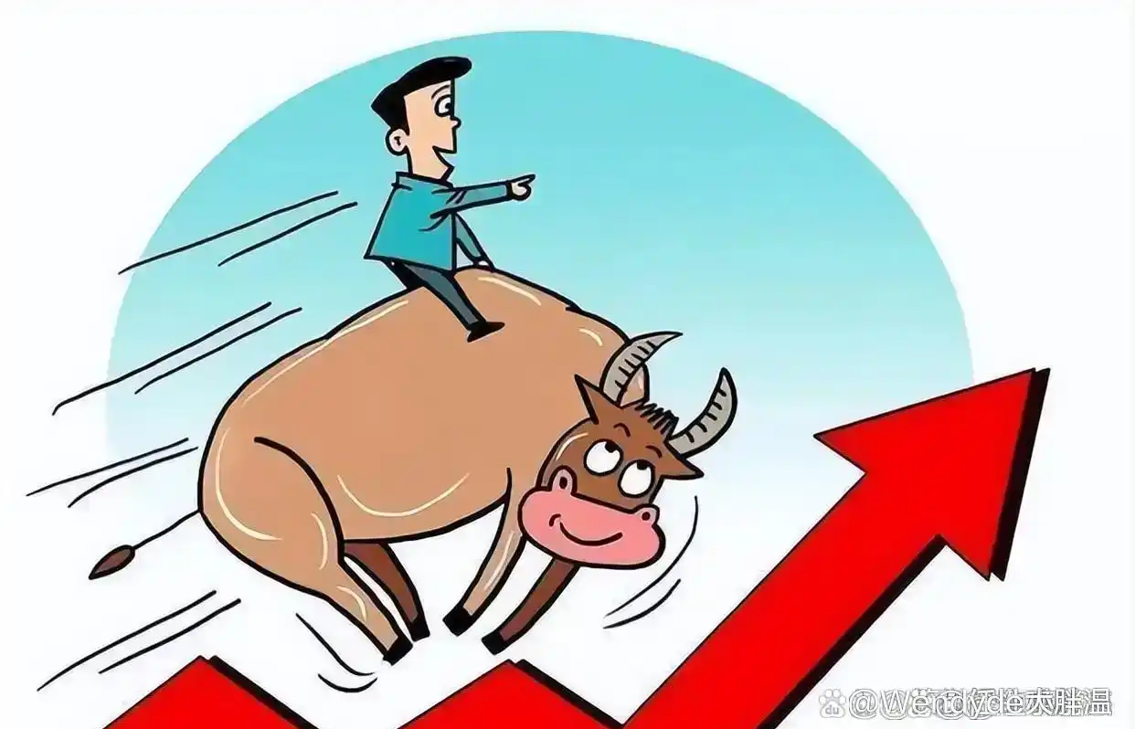 炒股盈利三大原则_股票看盘技巧视频_老股民肺腑之言