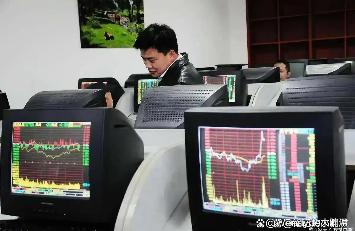 老股民肺腑之言_股票看盘技巧视频_炒股盈利三大原则