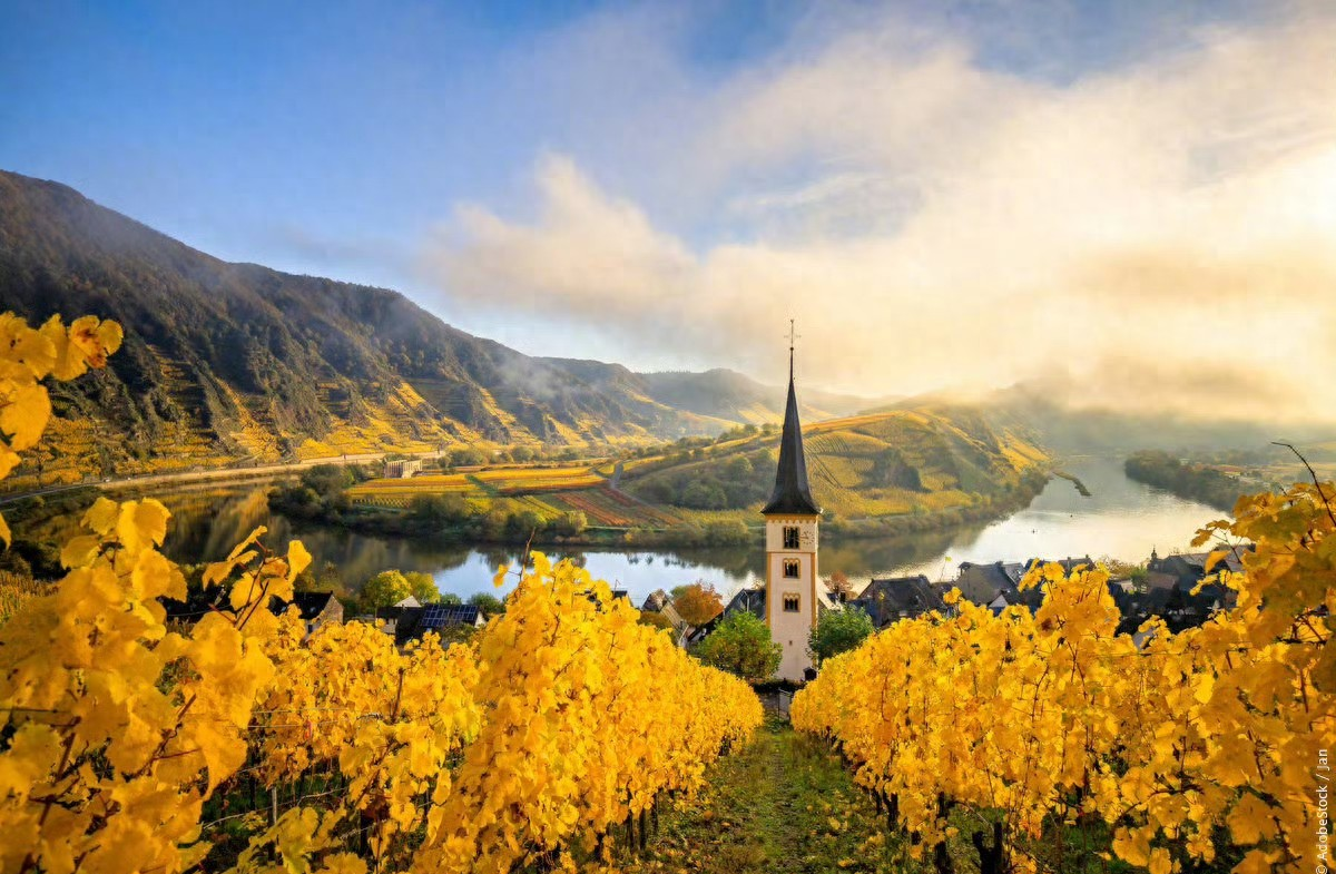 炒股核心技巧_散户视角看盘_股票知识及股票操作技巧