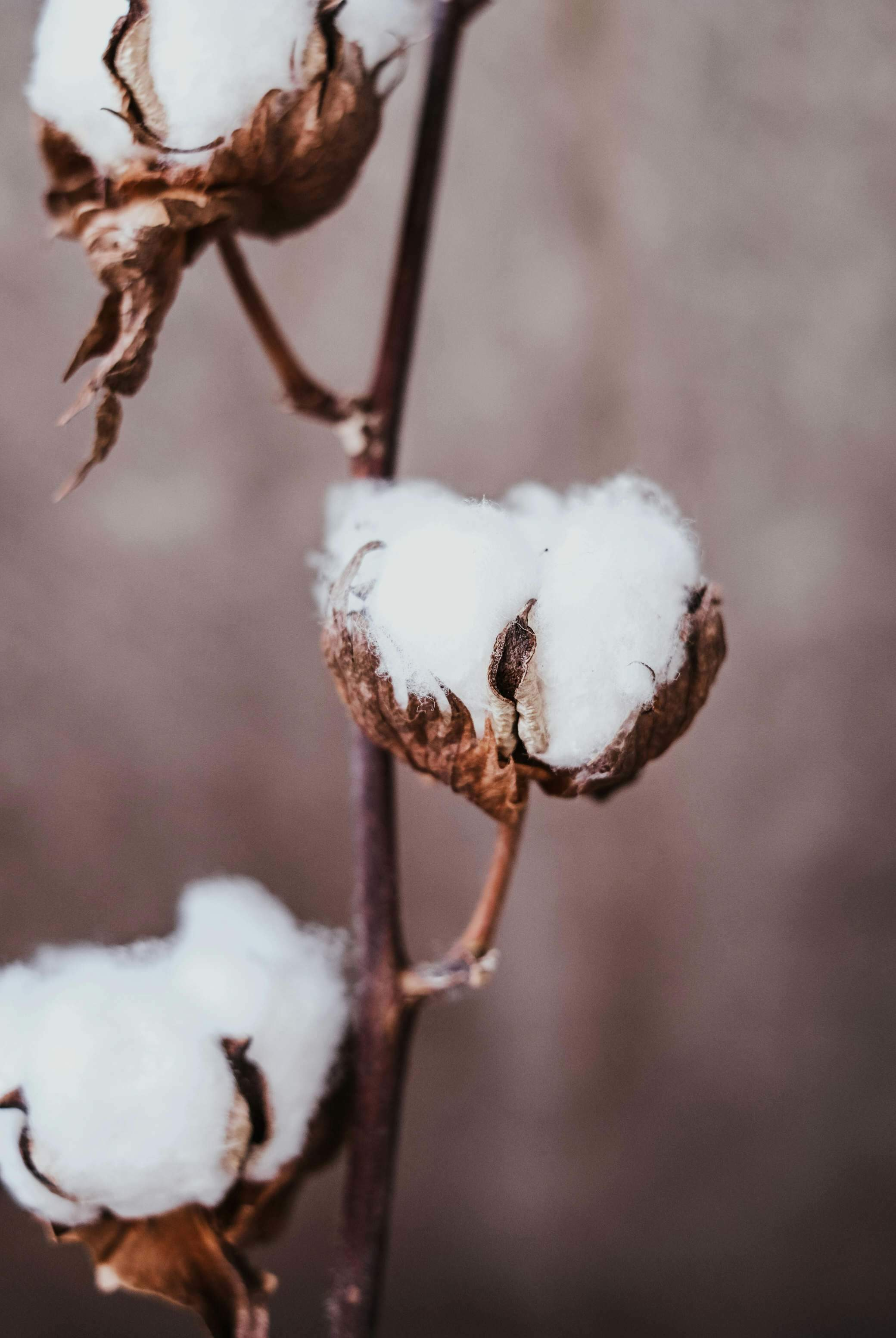 期货试仓策略制定_期货投资策略有哪些_试仓规模确定