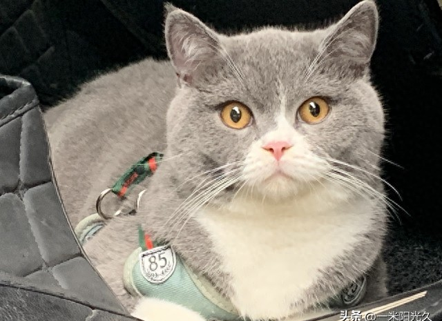 短线交易纪律执行力_短线交易认知_短线炒股技巧