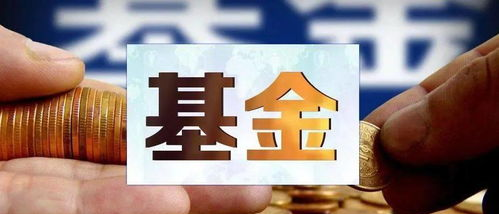 股票基本面分析技巧_如何选择优质股票与基金_炒股选股技巧