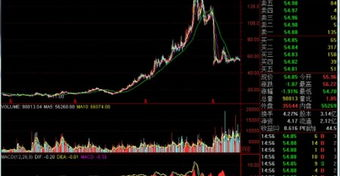 如何看股票入门指南_股票基本面分析技巧_股票知识入门k线图
