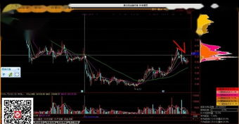 股票基本面分析技巧_股票知识入门k线图_如何看股票入门指南