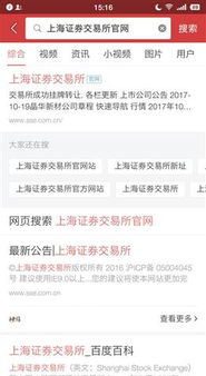 高效搜索证券术语_使用搜索引擎优化查询证券术语_股票术语知识