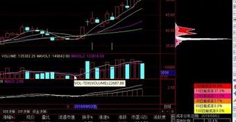 股票入门指南从零开始_股票视频入门基础知识_股票基本概念学习