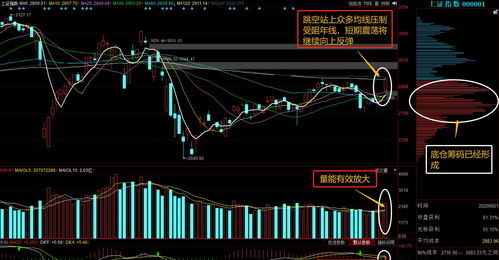 2024年股票投资攻略_如何精准买入股票_股票投资理念及策略