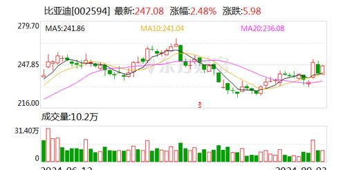 2024年股票投资攻略_如何精准买入股票_股票投资理念及策略