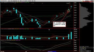 炒股买卖技巧_如何把握股票盈利的秘诀_掌握股票盈利的三大要素