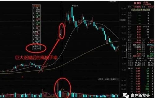 炒股指标策略_如何洞悉股票指标_股票指标种类及解读