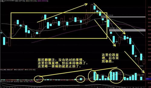 股票技术分析_洞悉股市走势_炒股指标策略