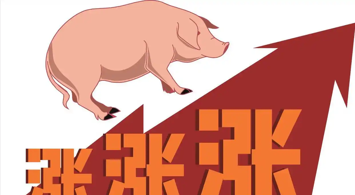 河南 生猪价格行情_生猪市场供需关系解读_2025年12月猪价走势分析