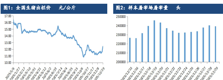目前生猪价格行情预测_生猪持仓量变化及市场解读_生猪期货主力合约价格走势分析