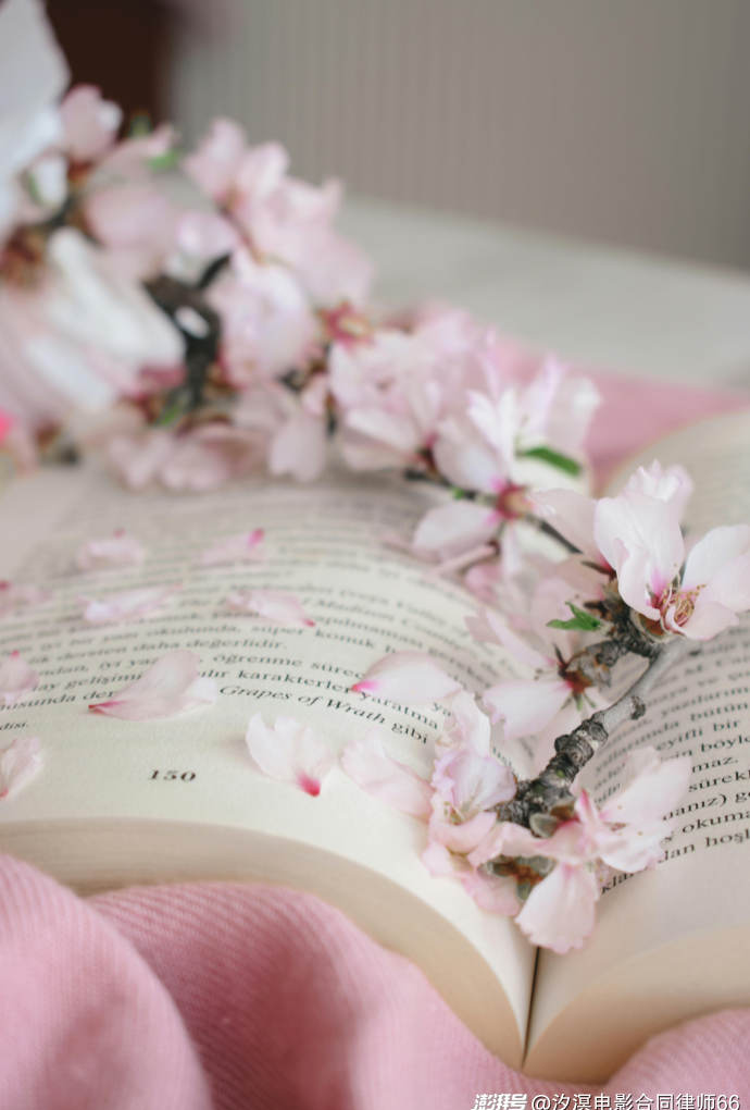 视频股票知识大全_股票知识的视频_股票知识视频