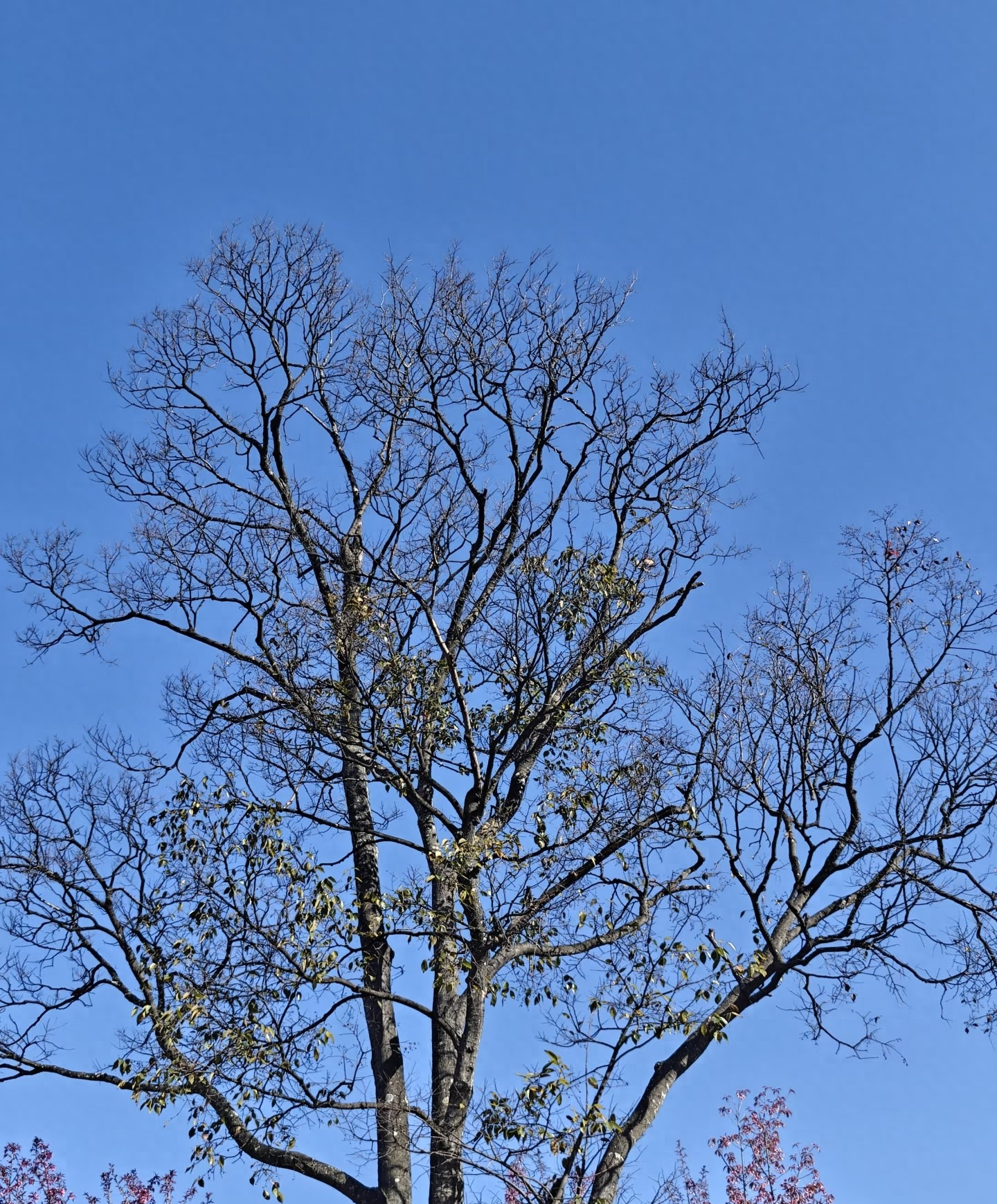 基本面技术面资金面分析_炒股看数据技巧_新手股票知识教学