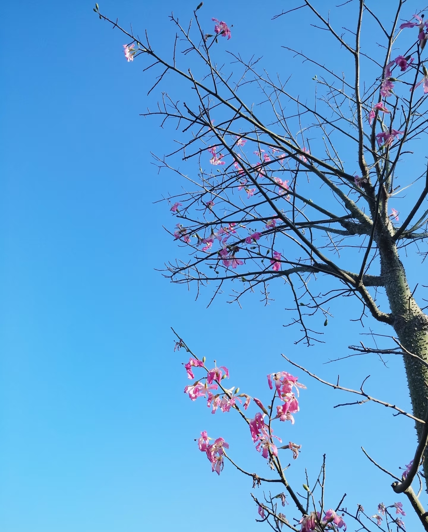 新手股票知识教学_炒股看数据技巧_基本面技术面资金面分析