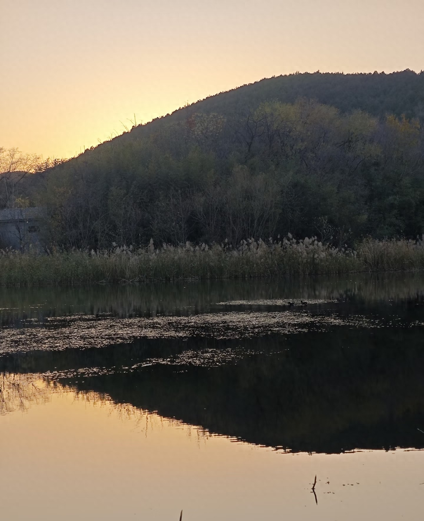 A股不同市场环境操作策略_炒股 技巧_炒股20年核心技巧