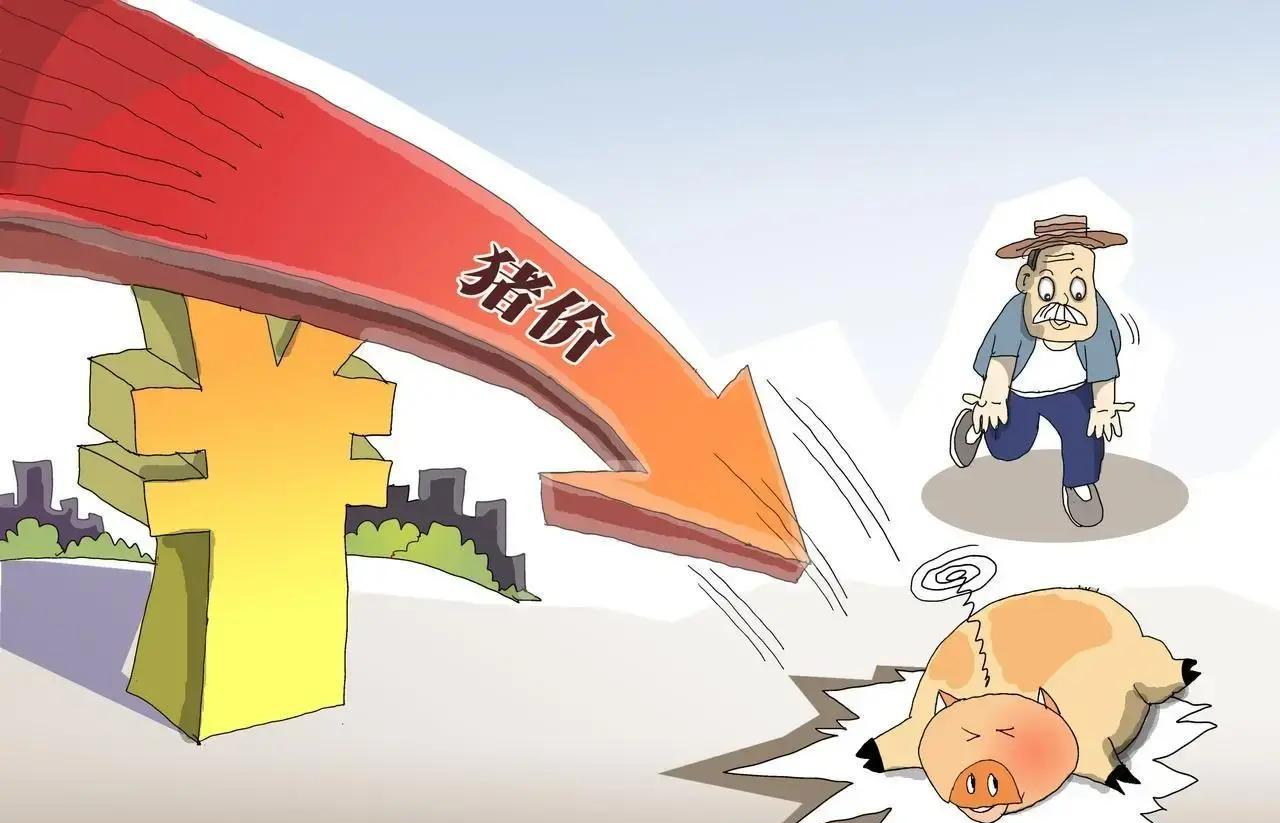 菜市场猪肉价格波动_猪价论坛 行情_猪价供需关系分析