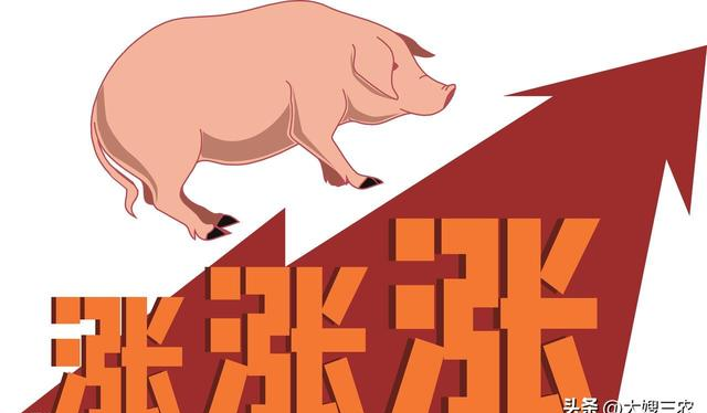 养猪行情低迷_产能过剩去化_猪价论坛 行情